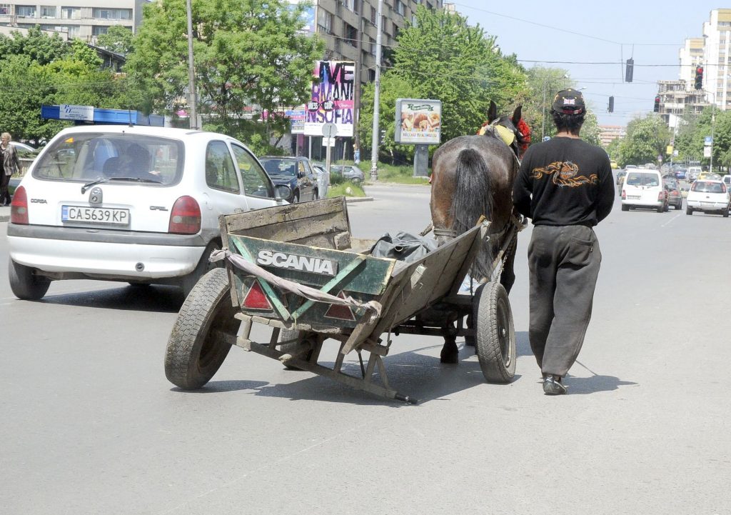 В София ще "задържат" коне в изпълнение на наредба за тотална забрана на каруците