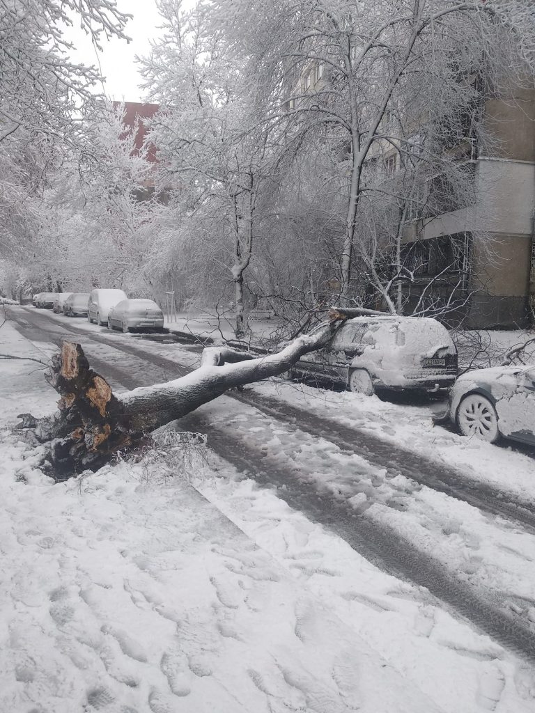 Снегът ни изненада в средата на зимата (Коментарът на "Господарите")