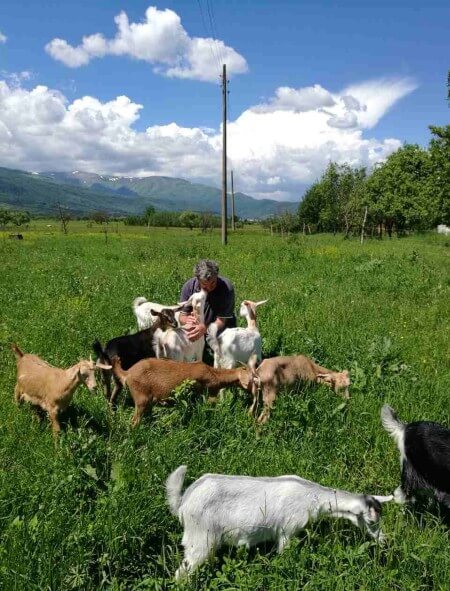 #ТутраканМиЕТоскана: Северна България със силни предложения за селски туризъм