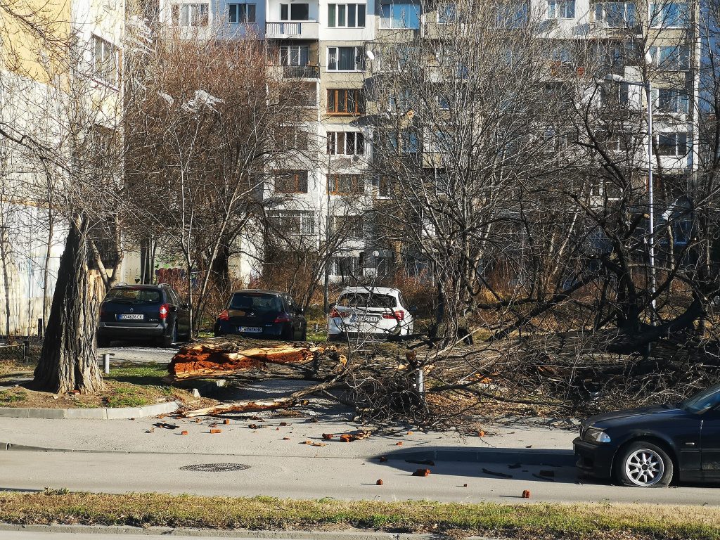 Ураганни ветрове нанесоха щети в цялата страна (видео)