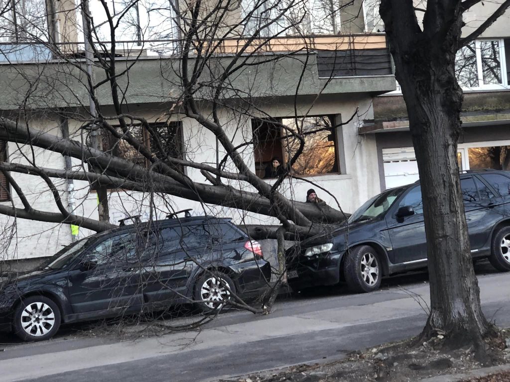 Ураганни ветрове нанесоха щети в цялата страна (видео)