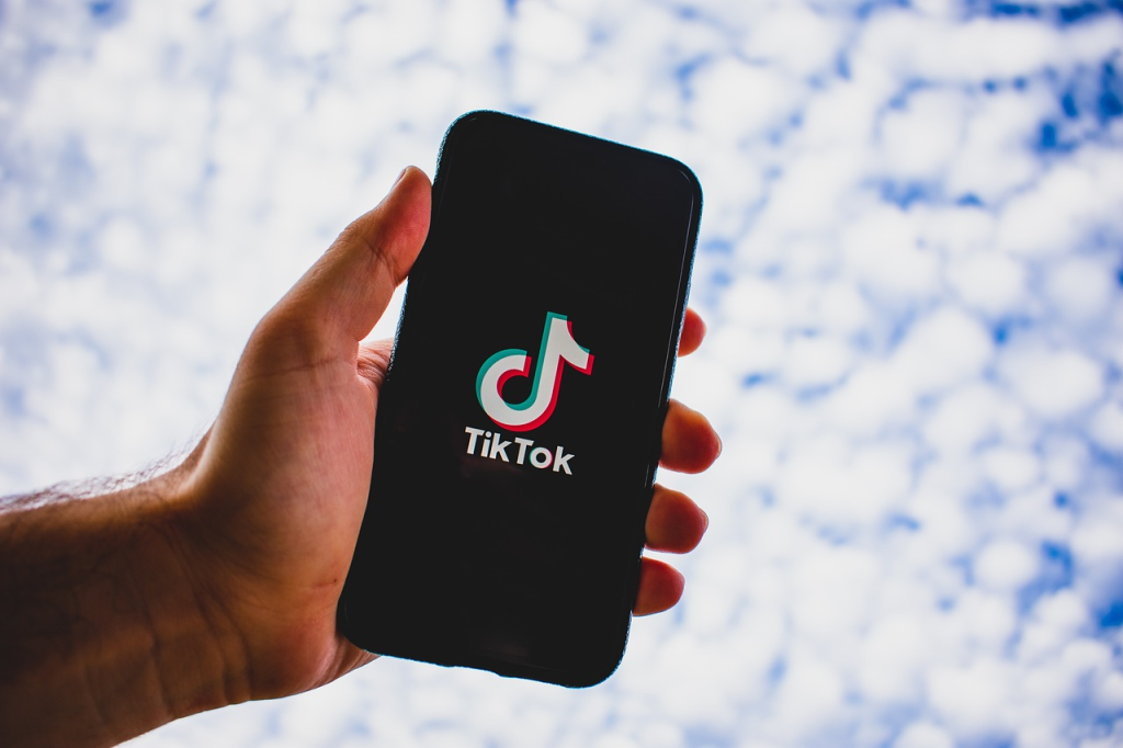 Поредна европейска държава забрани TikTok