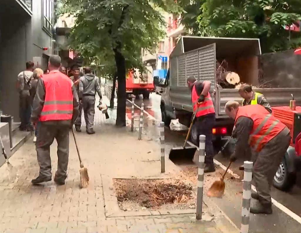 Дървото, което падна върху момиче в София, е било с изгнили корени (видео)