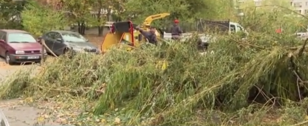 Дърво смачка две коли в &#8220;Люлин&#8221;, майка с деца се разминаха на метри (видео)