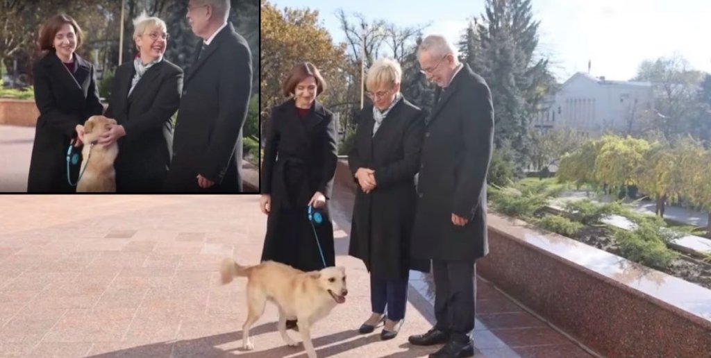 Кучето на молдовския президент ухапа австрийския държавен глава (видео)