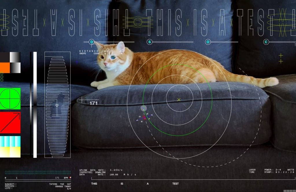 Котка участва в тестването на нова технология на НАСА за комуникация в Космоса (видео)