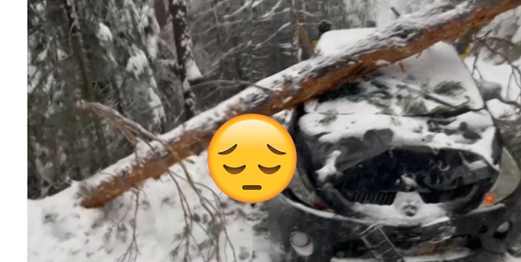 Дърво се вряза в автомобил при откриването на зимния сезон в Банско (видео)