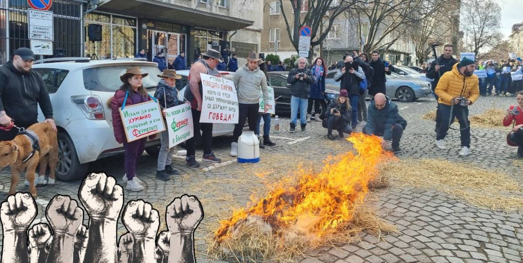 Над 20 организации излязоха на протест пред Министерството на земеделието (видео)