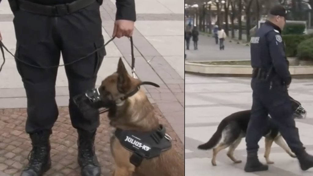 Четириноги охранители ще патрулират заедно с полицаи в Бургас (видео)