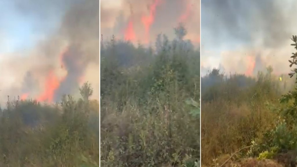 Полски пожар под рибарниците в село Нови хан (видео)